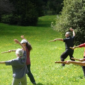 Qi Gong du bâton en montagne