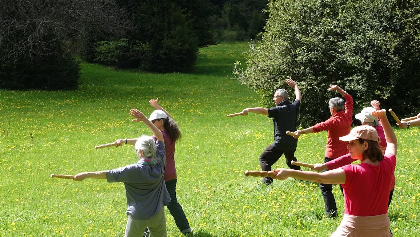 Qi Gong du bâton en montagne