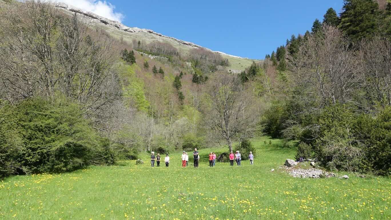 Jean-Pierre Peyruseigt en séance Qi Gong dans les alpages de la Drôme