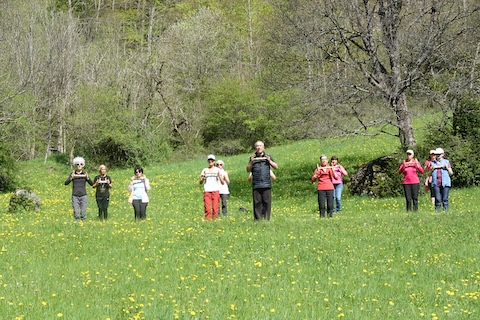 Séance Qi Gong de Jean-Pierre Peyruseigt dans le Vallon de La Jarjatte