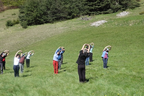 Qi gong et lavande