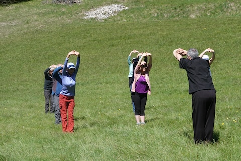 Stage de Qi Gong dans le Parc Naturel Régional du Vercors