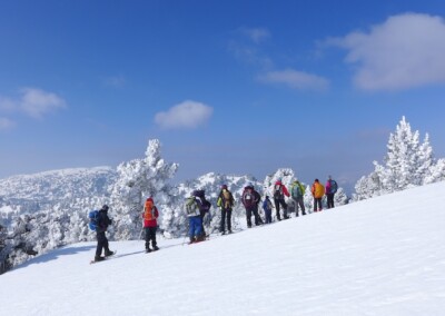 Raquettes sur les Hauts-Plateaux du Vercors