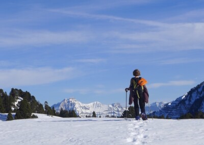 Vercors : expédition hivernale sur les hauts-plateaux